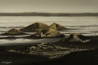 Playa dorada Islandia...