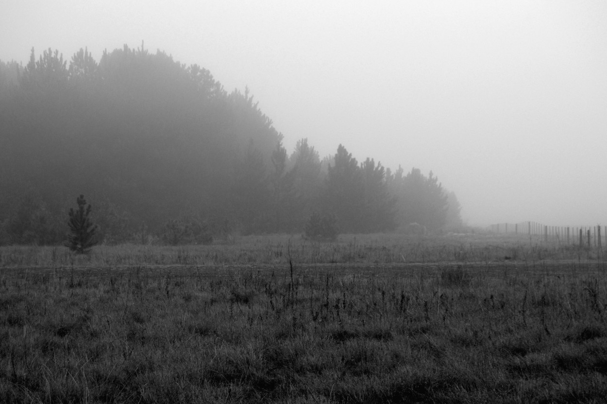 "A lo lejos, la niebla, se iba desparramando" de Javier Andrade