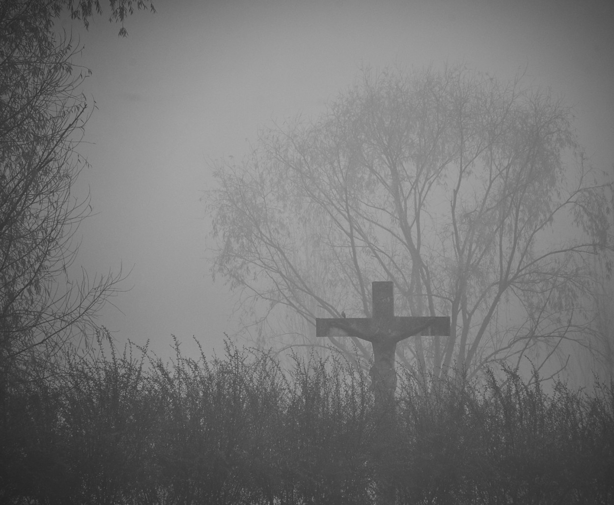 "La cruz en la niebla" de Fernando Valdez Vazquez