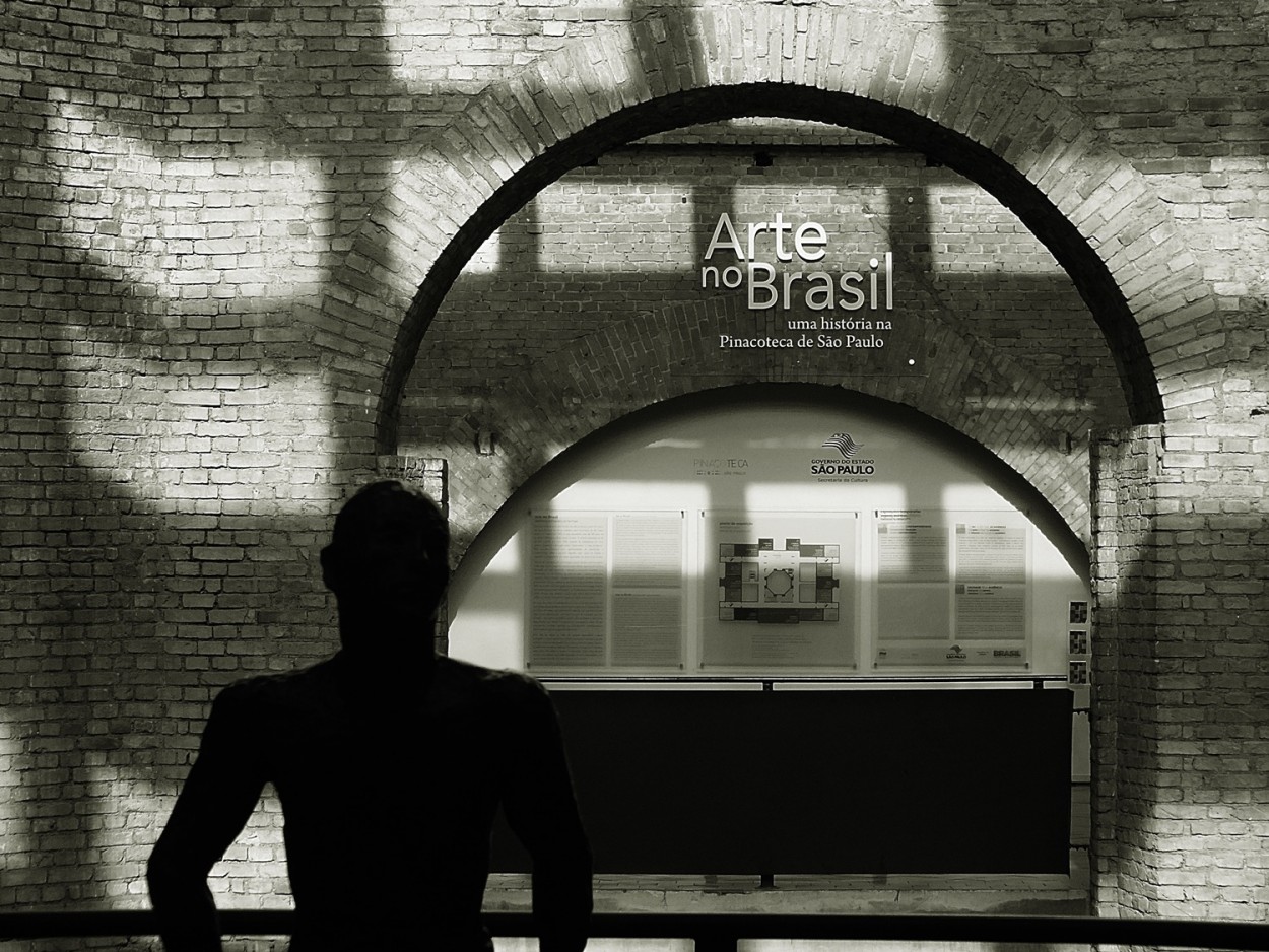 "Pinacoteca So Paulo, Arte no Brasil" de Decio Badari