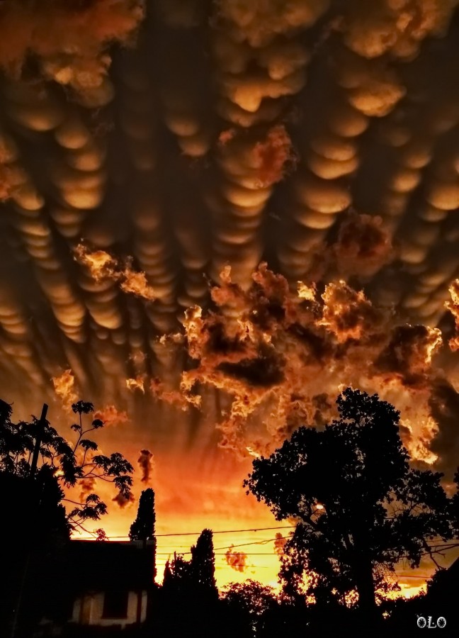 "Nubes mammatus." de Oscar Lonardi