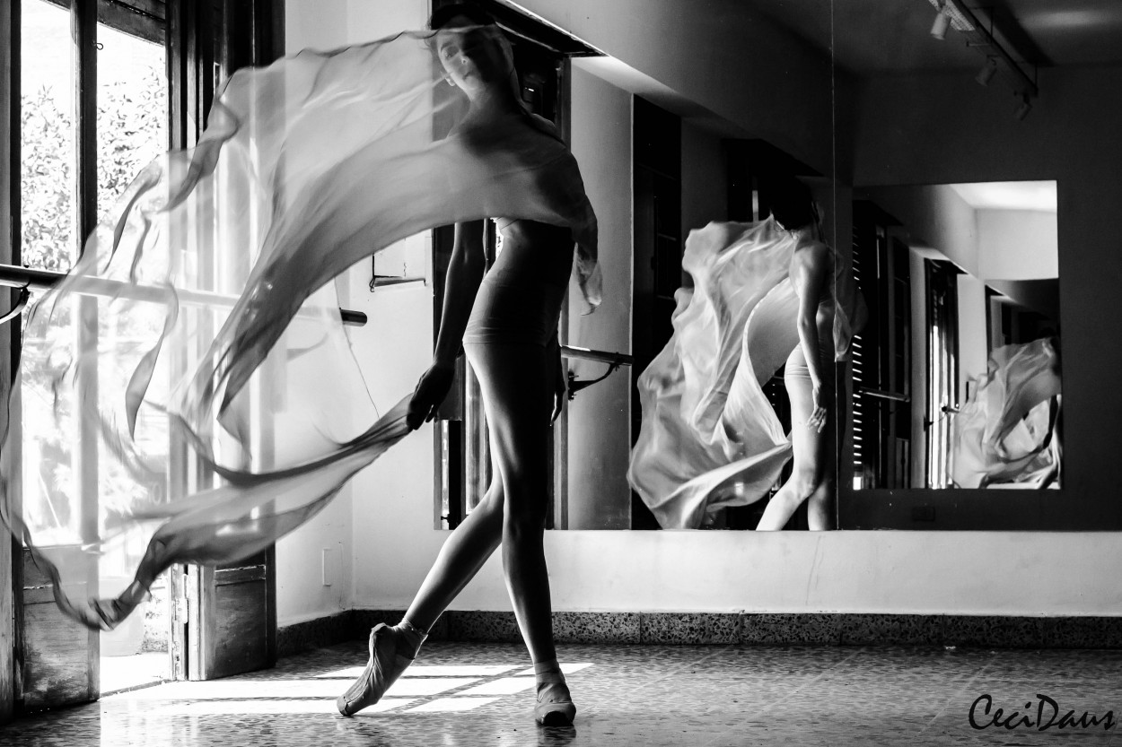 "Danza" de Cecilia Daus