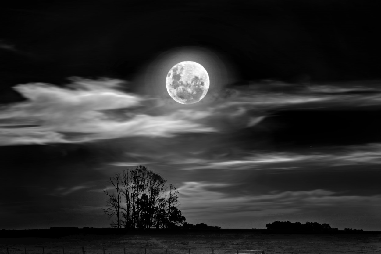 "Claro de Luna" de Eli - Elisabet Ferrari