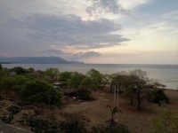 Timor no seu esplendor