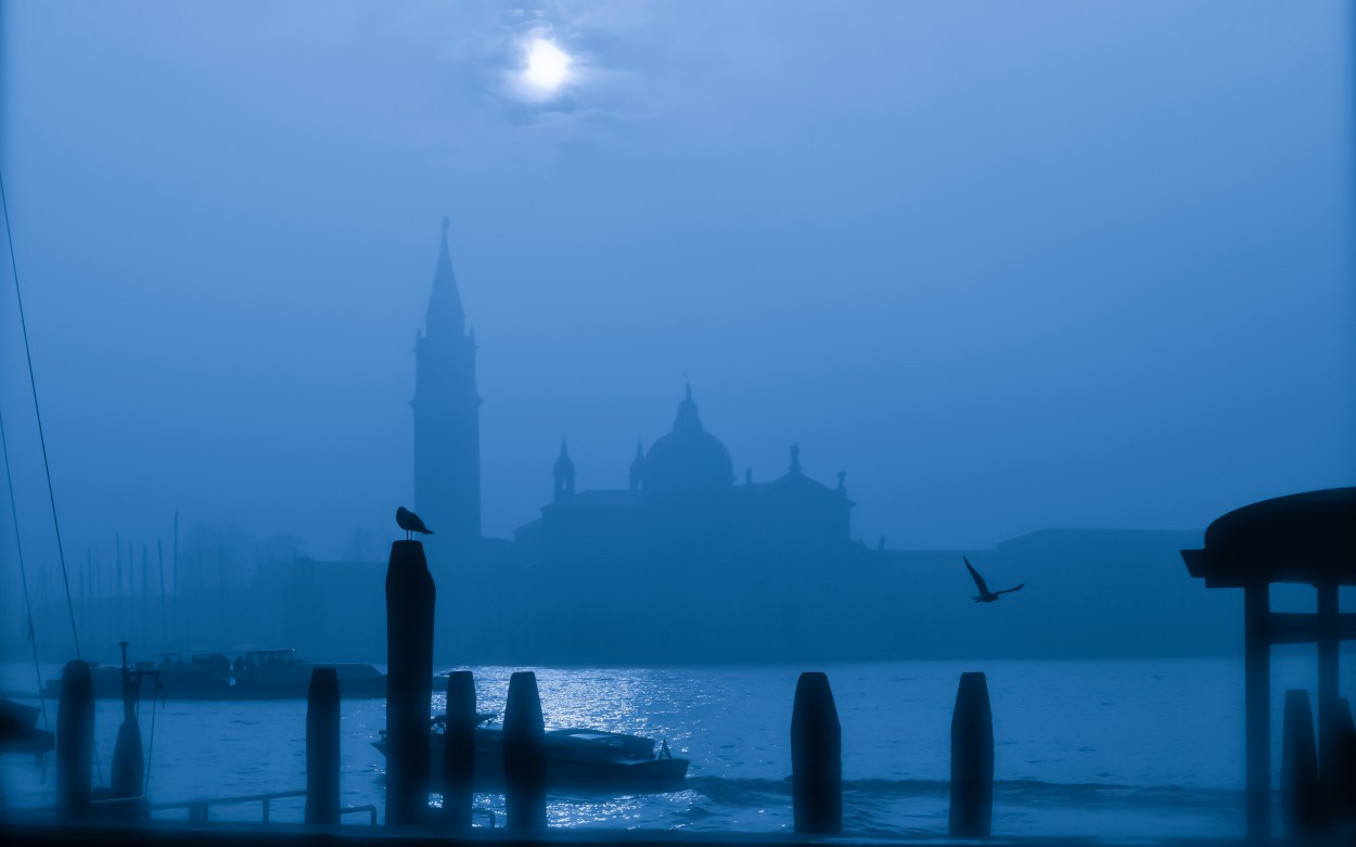 "Venice in Blue" de Luis Alberto Bellini