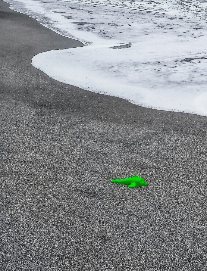 "Delfin verde varado" de Roberto Guillermo Hagemann