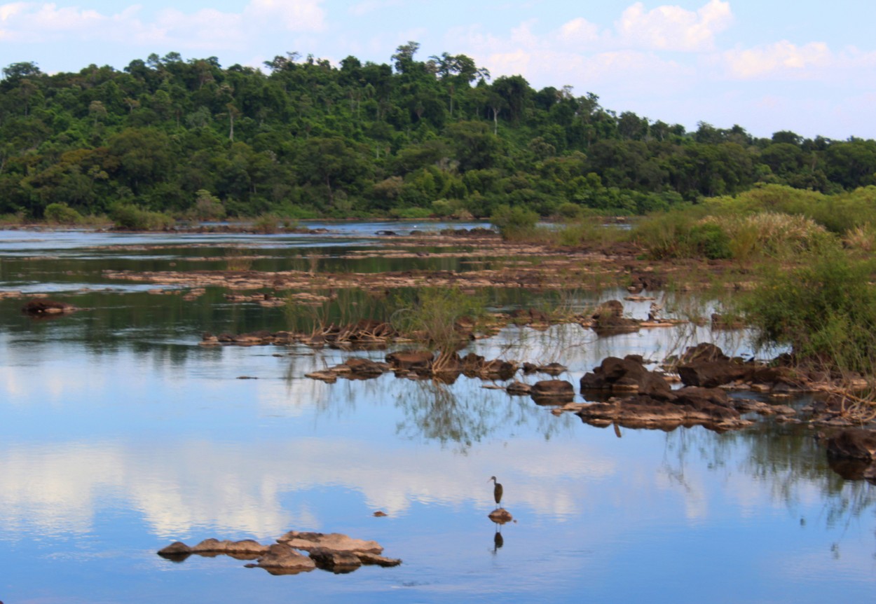 "En El Parque Nacional Iguaz..." de Silvia Emilia Guerra