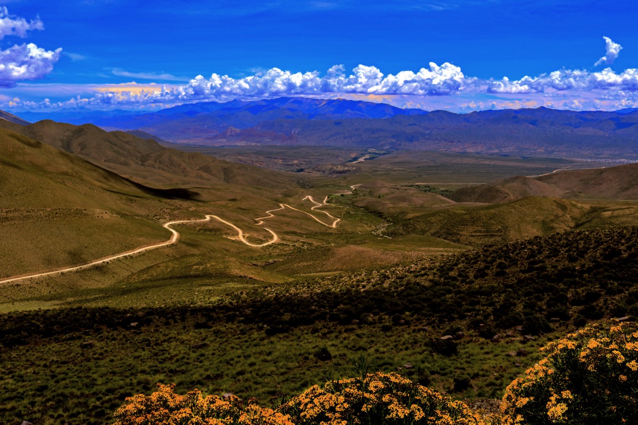"camino al cerro Hornocal" de Viviana Garca