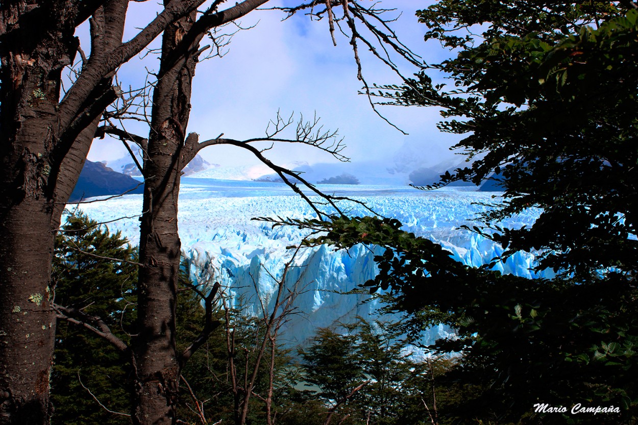 "Enmarcando naturalmente el Glaciar..." de Mario Campaña