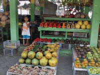 A vendedora da fruta