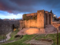 Castell Cartoixa de Vallparads