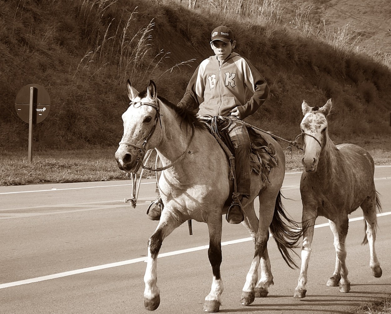 "A liberdade de cavalgar e aproveitar a vida!" de Decio Badari