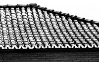 As texturas e formas do telhado do vizinho.