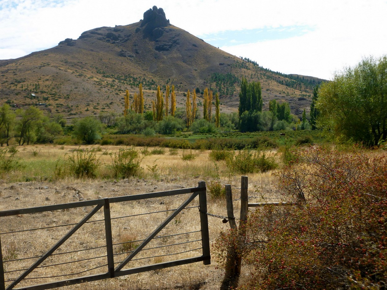 "Cerro Buta Leche Cura, El Cholar, Neuqun." de Carlos E. Wydler