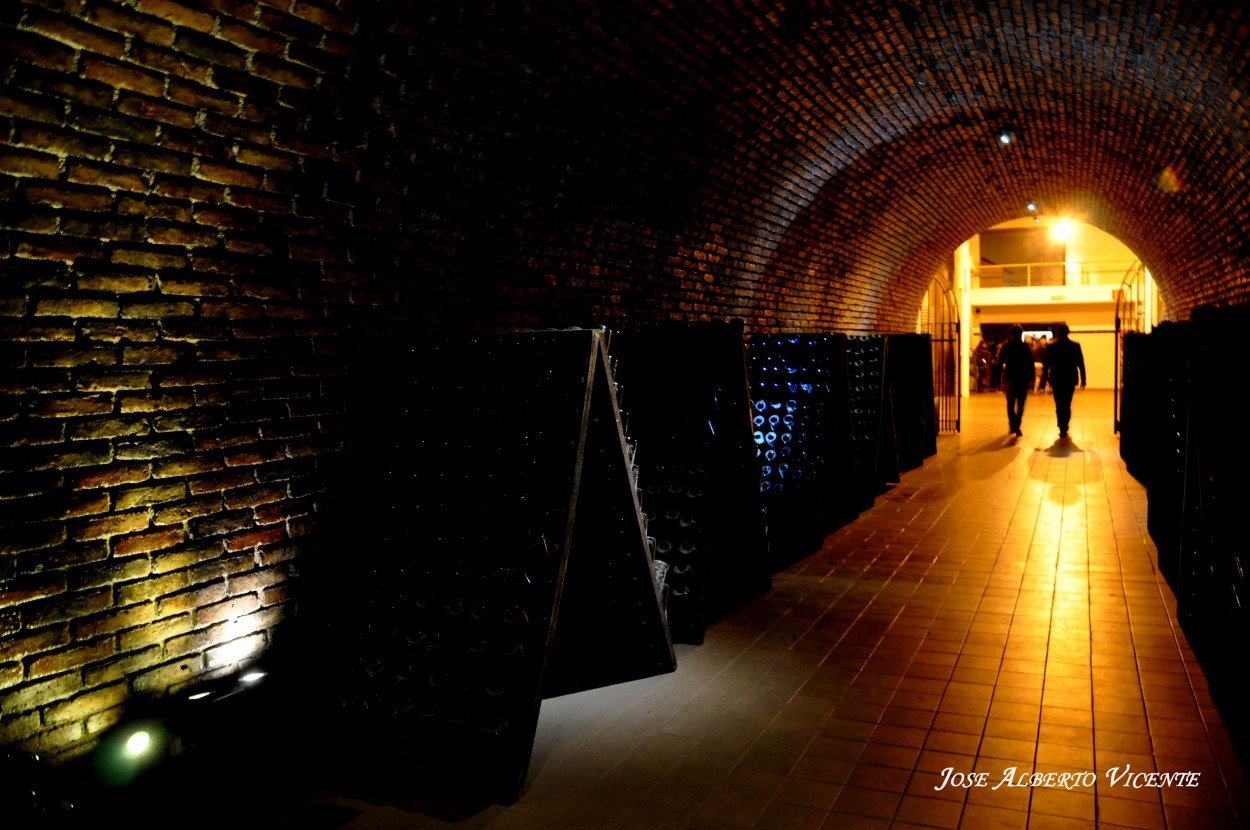 "el tunel del vino" de Jose Alberto Vicente