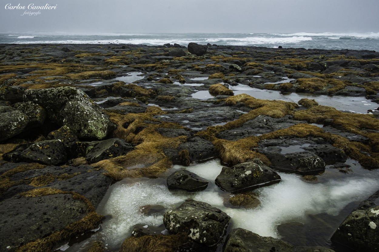 "helada playa de Islandia..." de Carlos Cavalieri
