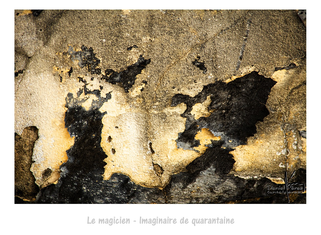 "Le magicien - Imaginaire de quarantaine" de Daniel Prez Kchmeister