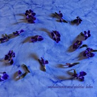 ondulaciones azul violeta
