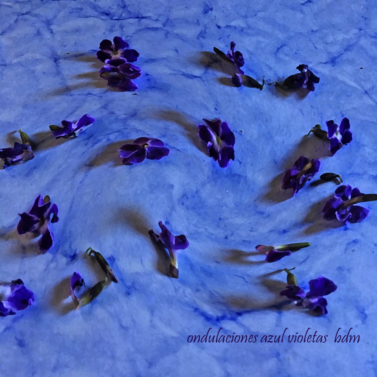"ondulaciones azul violeta" de Beatriz Di Marzio