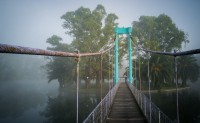 El puente a la isla