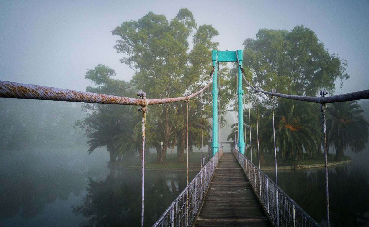 "El puente a la isla" de Fernando Valdez Vazquez