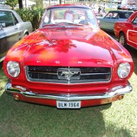 Um estilo de vida o belssimo ` Mustang` 1964!