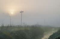Niebla y fro al amanecer