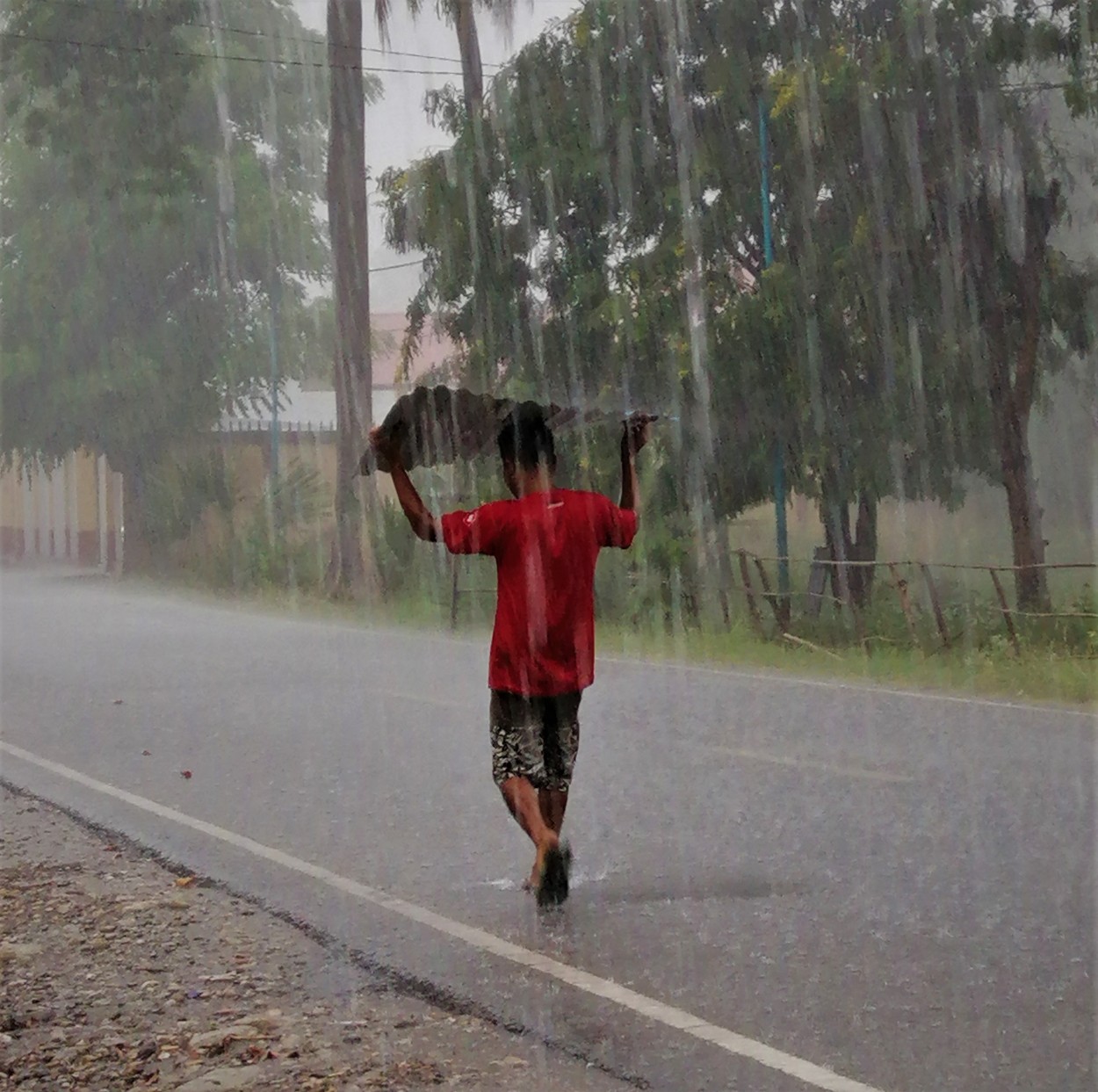 "Caminhando debaixo de chuva!" de Maria Cristina de Castilho Brda