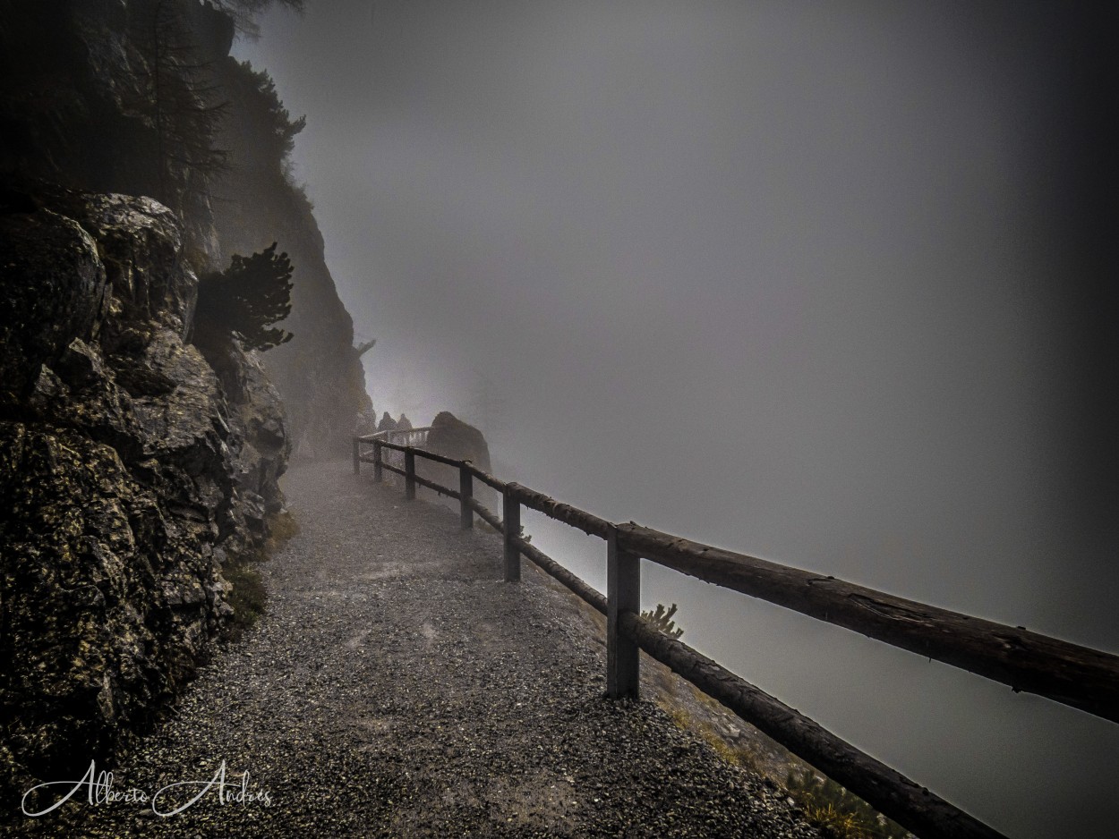 "Perdidos en la niebla" de Alberto Andrs Melo