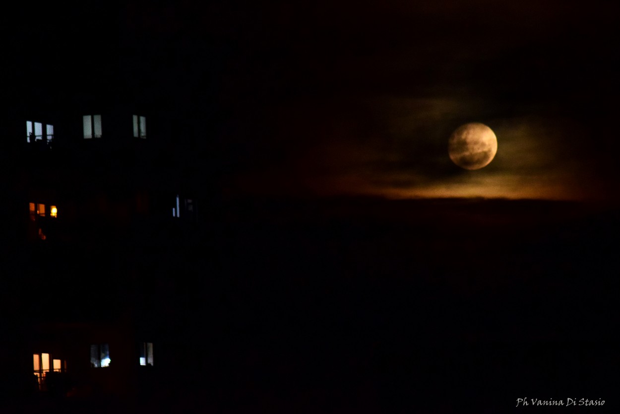 "Noche de luna" de Vanina Di Stasio