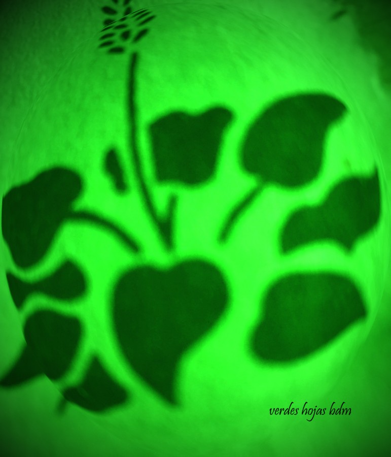 "hojas verdes" de Beatriz Di Marzio