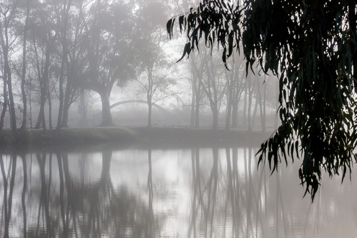 "Niebla en el lago" de Susana Garcia Hillcoat