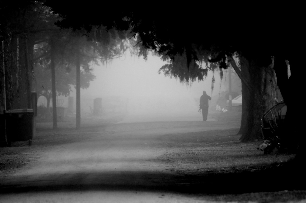 "Das de niebla" de Javier Andrade