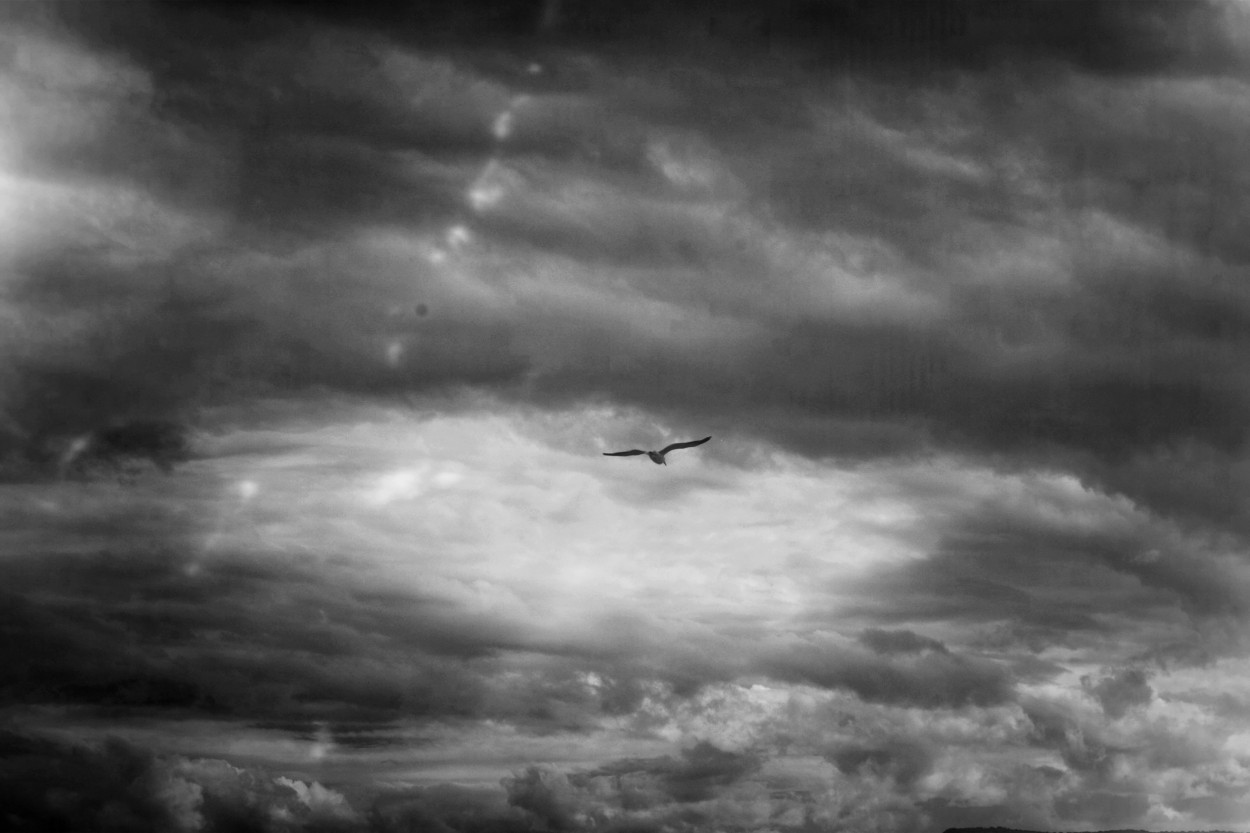 "Cielito nublado" de Jorge Carlos Tarditi (carlos)