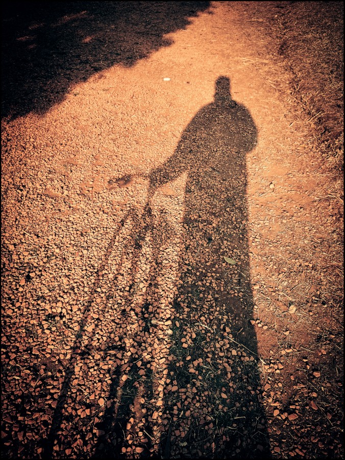 "Selfie en el camino." de Dante Murri