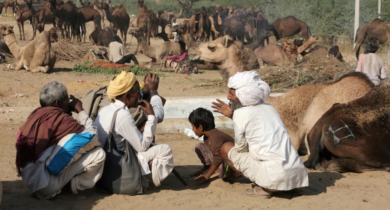 "Charlas en la Feria de Camellos." de Francisco Luis Azpiroz Costa