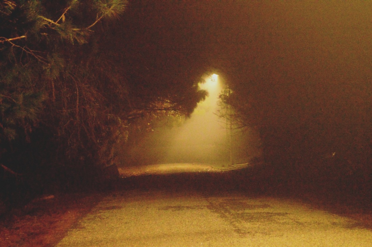 "La niebla de anoche" de Javier Andrade