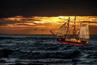 Navegando la Cuarentena