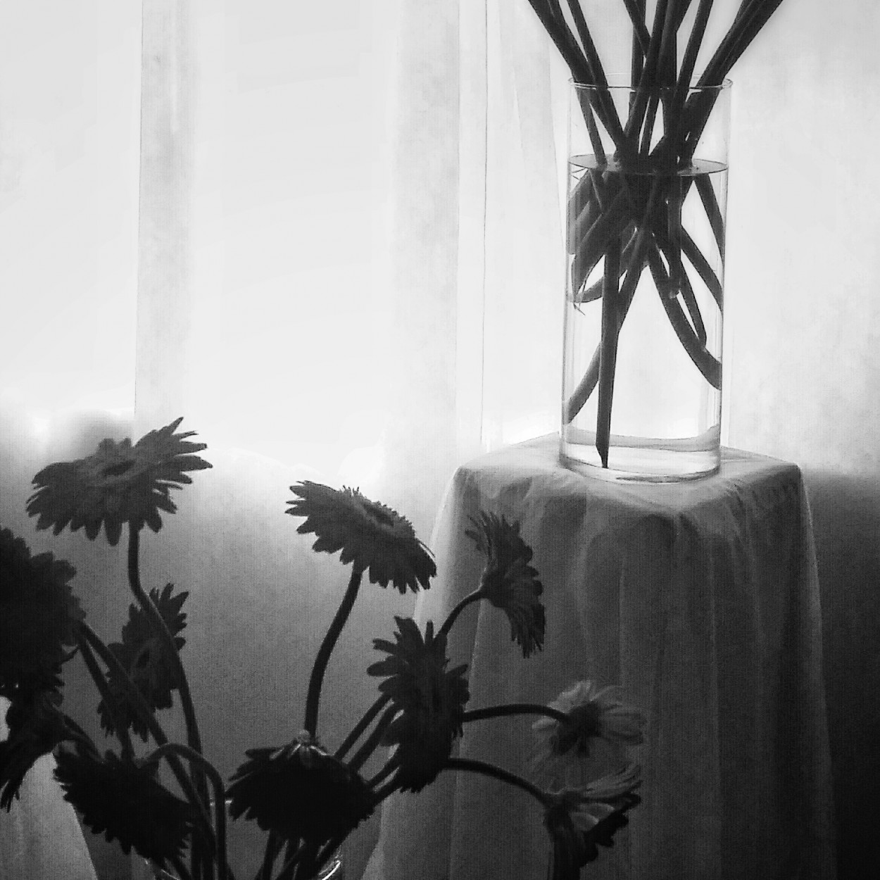 "Flores muertas" de Fernando Fontenla
