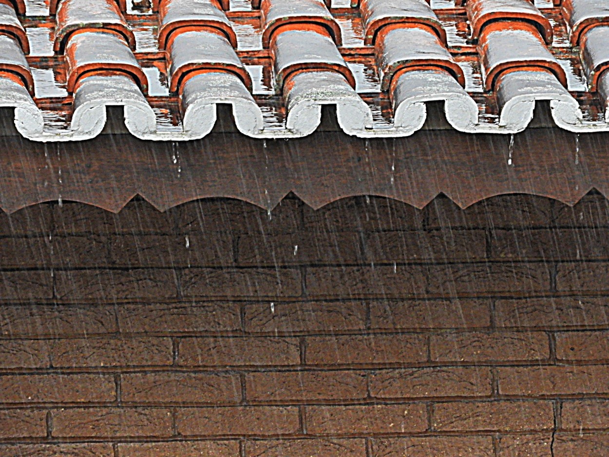 "O inicio da chuva no telhado do vizinho." de Decio Badari