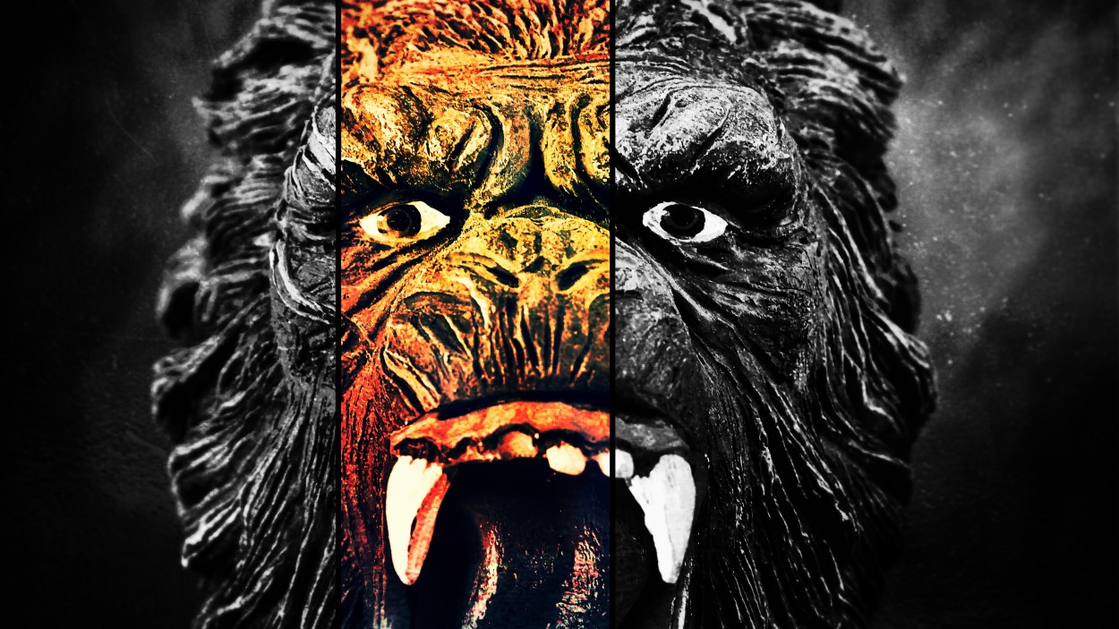 "Kong" de Miguel ngel Nava Venegas ( Mike Navolta)