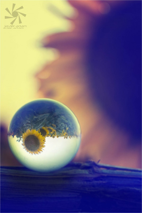 "Esfera y girasoles" de Javier Adam