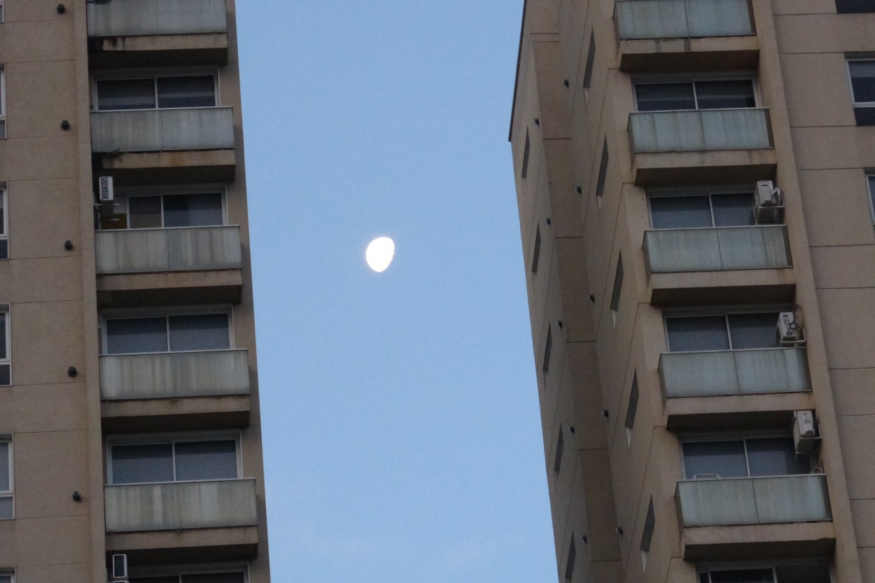 "Luna" de Santiago Arancio