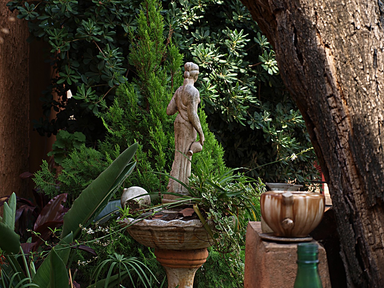 "Jardin" de Roberto Bernabitti