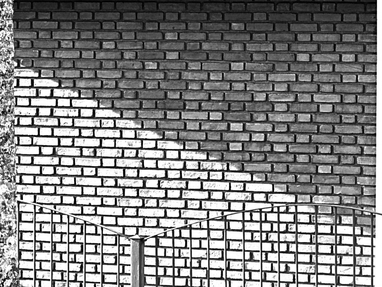 "A parede de meu vizinho, texturas e formas." de Decio Badari