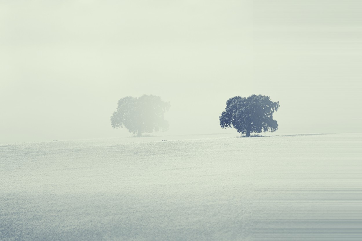 "A ghost in the meadow..." de Maria Isabel Hempe
