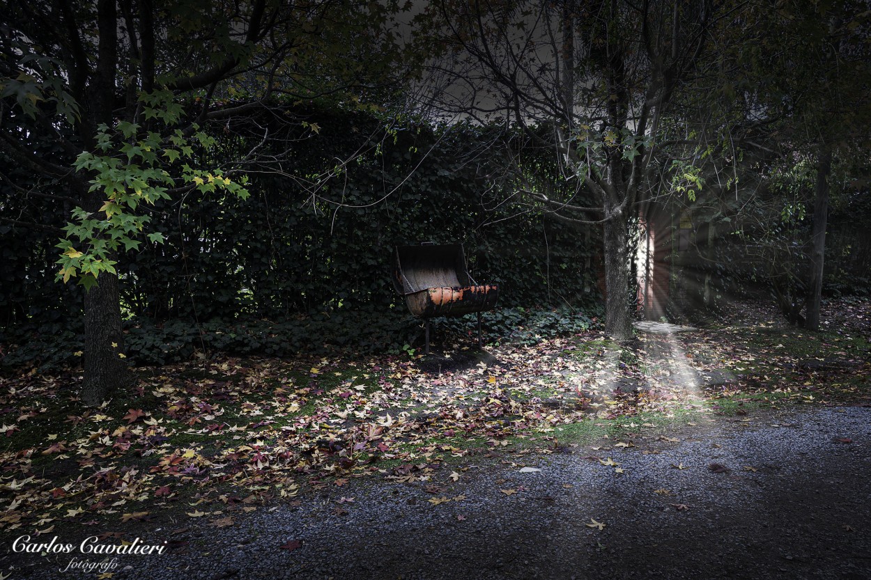 "Una luz en el parque..." de Carlos Cavalieri