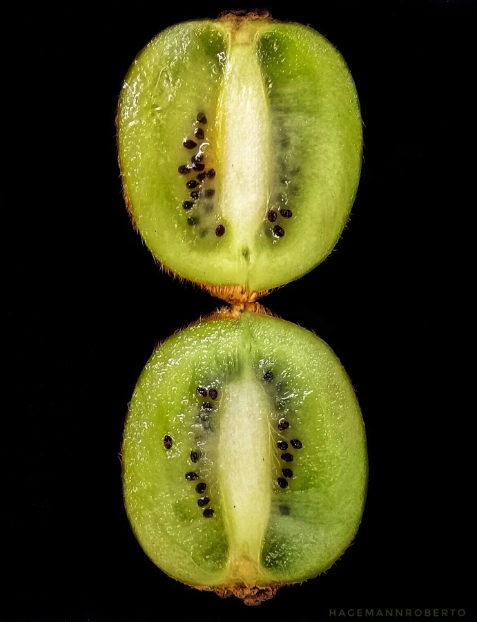 "La Fruta est verde" de Roberto Guillermo Hagemann