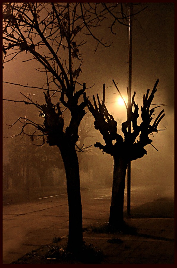 "Noches de niebla" de Jorge Vicente Molinari