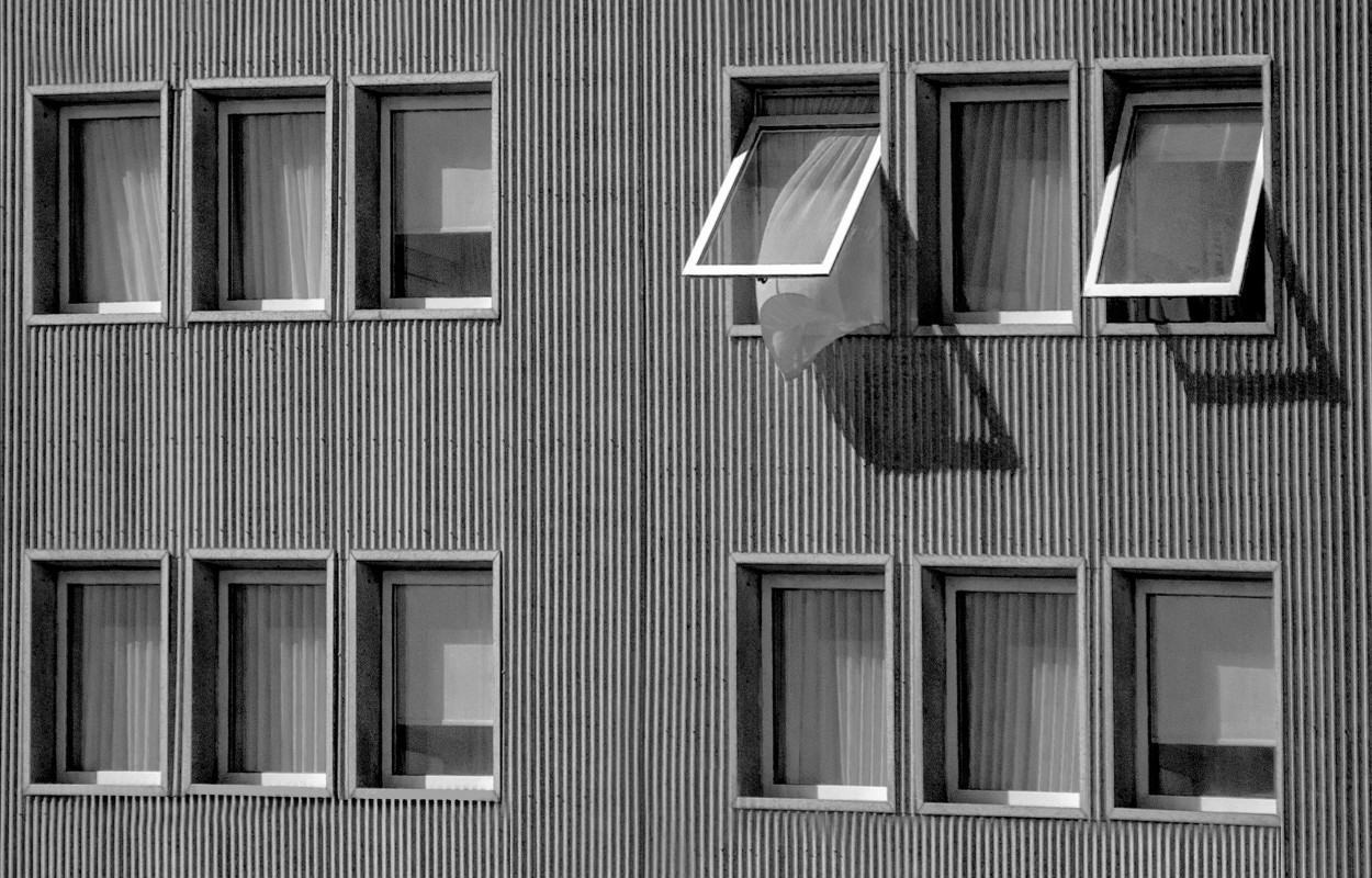 "Las ventanas" de Eli - Elisabet Ferrari